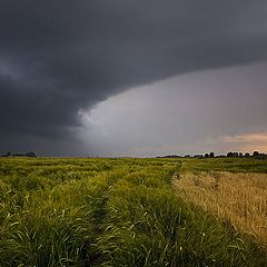 photo "Soon storm"