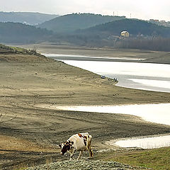 photo "Near lake"