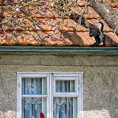 фото "Весенняя прогулка черной кошки"