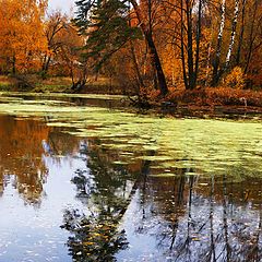 фото "Осень"