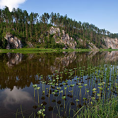 photo "Chusovaya river / 0172_0093"