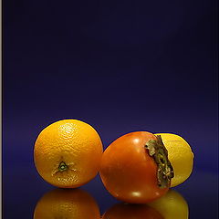 фото "фрукты"