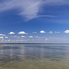 photo "Озеро Нарочь, штиль"