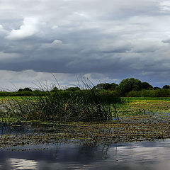 фото "Рыбное место"