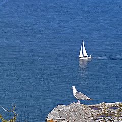 photo "Thoughts about the sea."