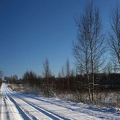 photo "Frost and the Sun"