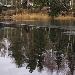 photo "Beginning of winter"