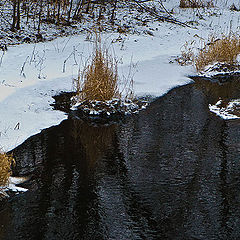 фото "черно-белая"