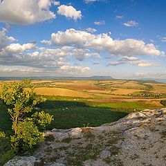 фото "Немного лета!"