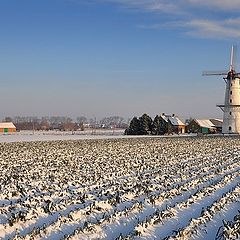 фото "The windmill of Isackers."