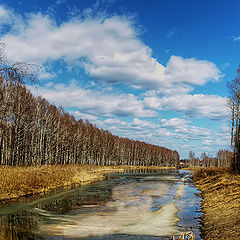 фото "майская лыжня"