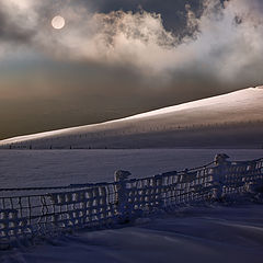 photo "Snowland"