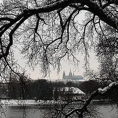 photo "Зимняя Прага"