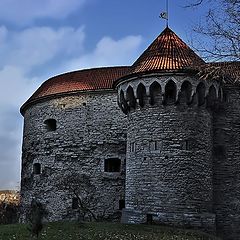 фото "Толстая Маргарита"