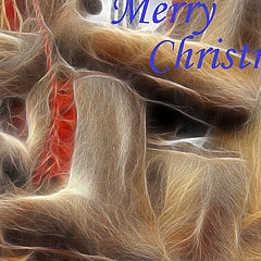 photo "Merry Christmas!"