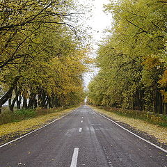 фото "Дорога  на Винницу!"