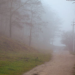 photo "Road to fog"