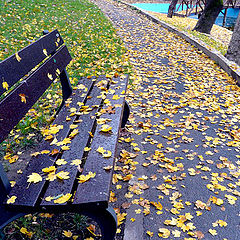 photo "Autumn passed here ..."
