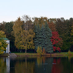 photo "Autumn Rainbow"