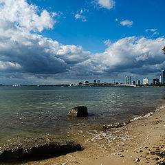 photo "Miami at Christmas"