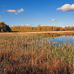 photo "Boggy coast"