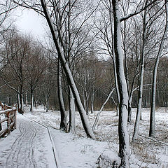 фото "Снежная графика"