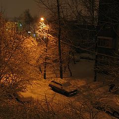 фото "...снег шёл всю ночь..."