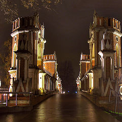 photo "Eyes in the Dark. Tsaritsyno"