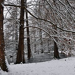 фото "white carpet"