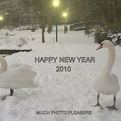 photo "HAPPY NEW YEAR."