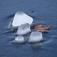 photo "Ice."