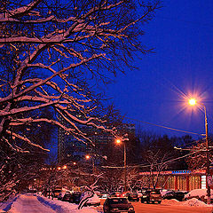 фото "Первый морозный вечер 2010-ого"