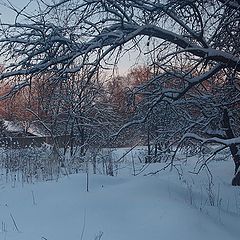 фото "Новогоднее настроение."