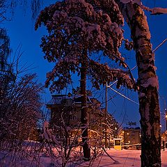 фото "Зимние сумерки"