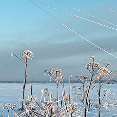 фото "+ провода"