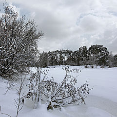 фото "зимний пейзаж"