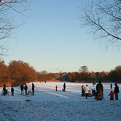 фото "winter"