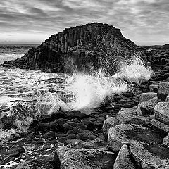 photo "The Giant's Causeway"