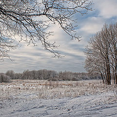 photo "***"