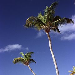 photo "Carribean view"