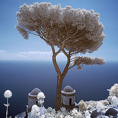 photo "Postcard from Ravello"