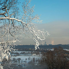 photo "Artificial snow zasnezhena"