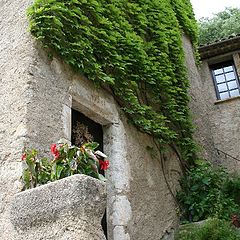 photo "St. Guilhem le desert, France: a corner"