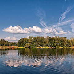 фото "Летняя"