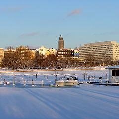 фото "moroz"