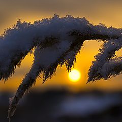 фото "Усталость"