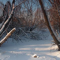 фото "Зима."