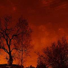 photo "***"