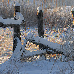 photo "January. A fence"