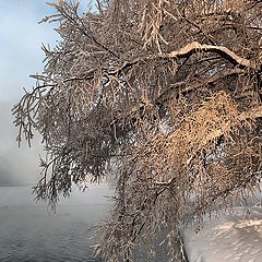 фото "таинственность"